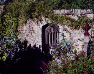 doorway out of violence