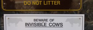 Beware Invisible Cows