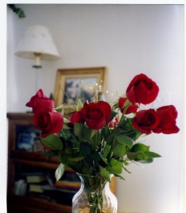 Red Roses