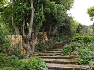 PATHWAY w timbered steps