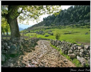 ALBANIAN ROAD - rocky Duka