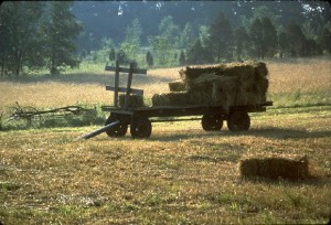 Maryland - haywagon