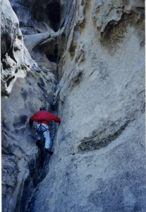 ED climbing in JT