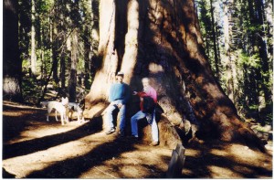 ED n Karl w giant redwood copy