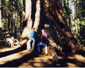 ED n Karl + redwood copy crp