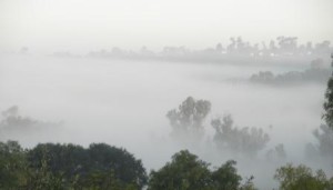 Fog in valley
