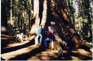 ED n Karl w giant redwood copy